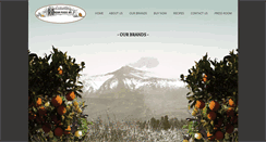 Desktop Screenshot of dreamfoods.com